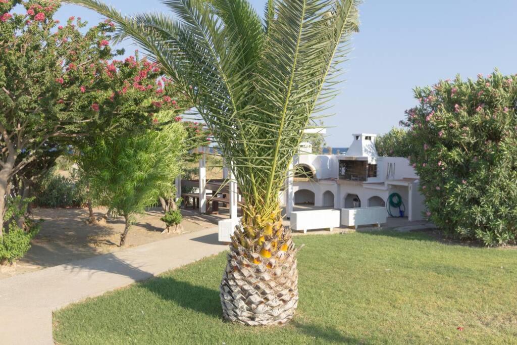 Renes Paradise Seahome - Afandou Beach, Rhodes كولومبيا المظهر الخارجي الصورة